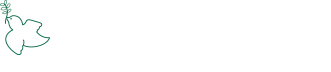 あべ内科小児科 since 1964